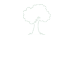 interes-denunciasambientales1