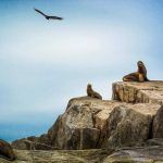 13095881_207703856278584_799919699854839652_n