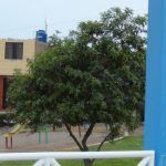 parque_sta_rosa_villa6