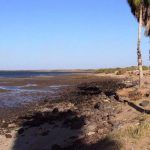 playa-la-curva